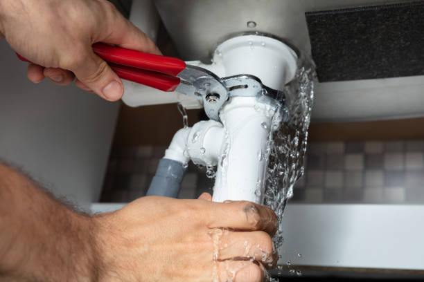 Best Water damage restoration process  in Crystal Falls, MI
