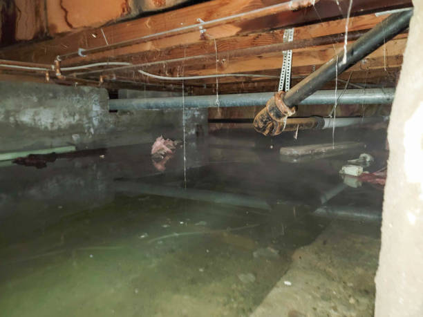 Best 24/7 water damage repair  in Crystal Falls, MI