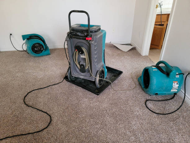 Best Fire Damage Restoration  in Crystal Falls, MI