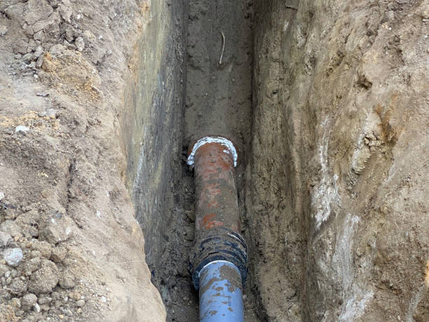 Best Basement water damage restoration  in Crystal Falls, MI