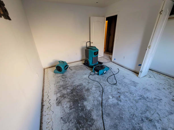 Best Water damage restoration mold remediation  in Crystal Falls, MI