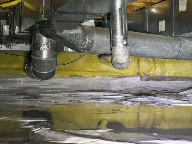 Best Mold removal after water damage  in Crystal Falls, MI